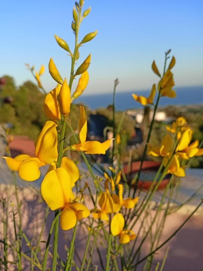 La Petite Maison Aci Castello Exterior foto